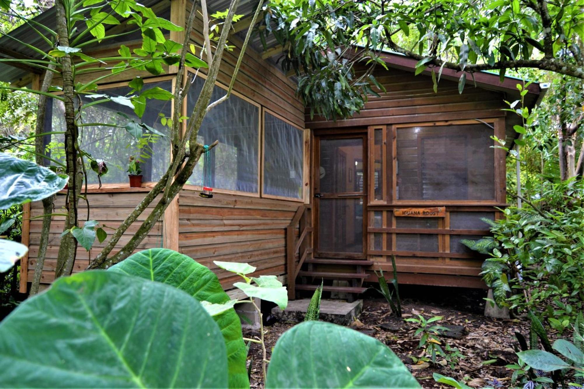 Iguana Roost Tourism Gold Standard Fully Equipped Two Bedroom Cabin San Ignacio Bagian luar foto