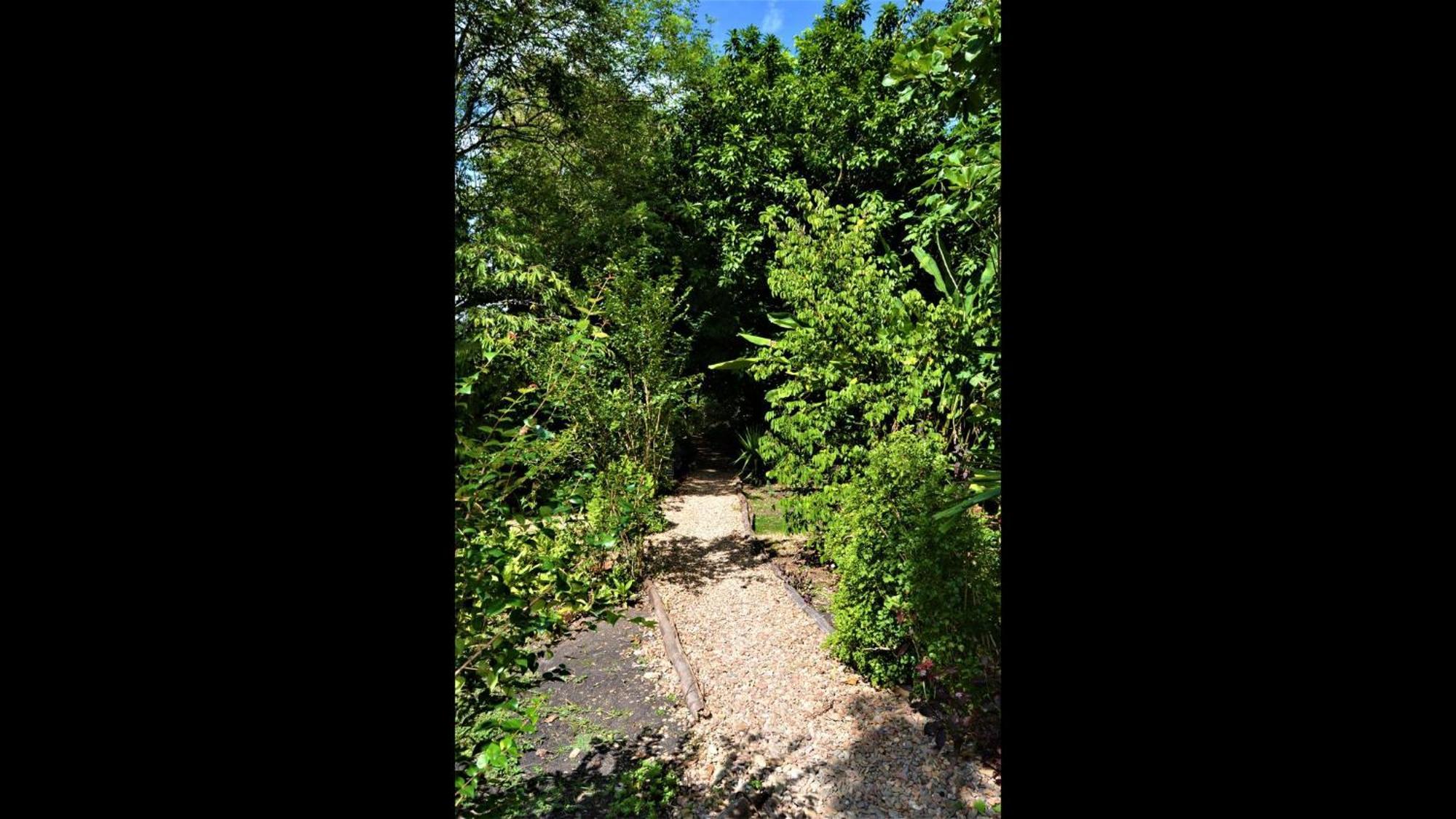 Iguana Roost Tourism Gold Standard Fully Equipped Two Bedroom Cabin San Ignacio Bagian luar foto