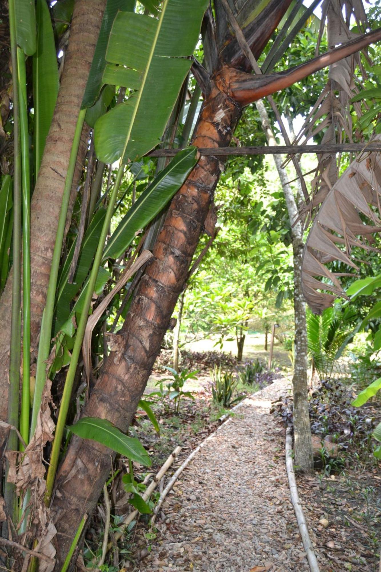 Iguana Roost Tourism Gold Standard Fully Equipped Two Bedroom Cabin San Ignacio Bagian luar foto