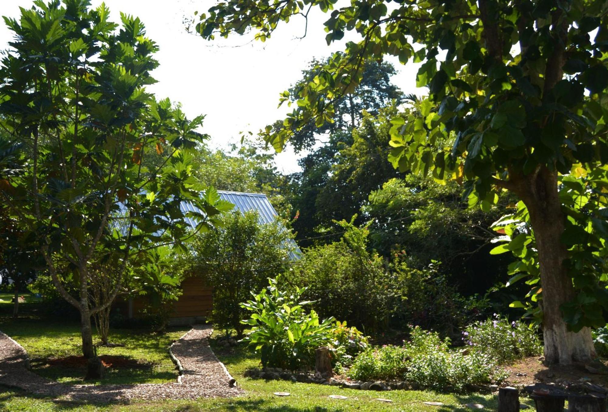 Iguana Roost Tourism Gold Standard Fully Equipped Two Bedroom Cabin San Ignacio Bagian luar foto