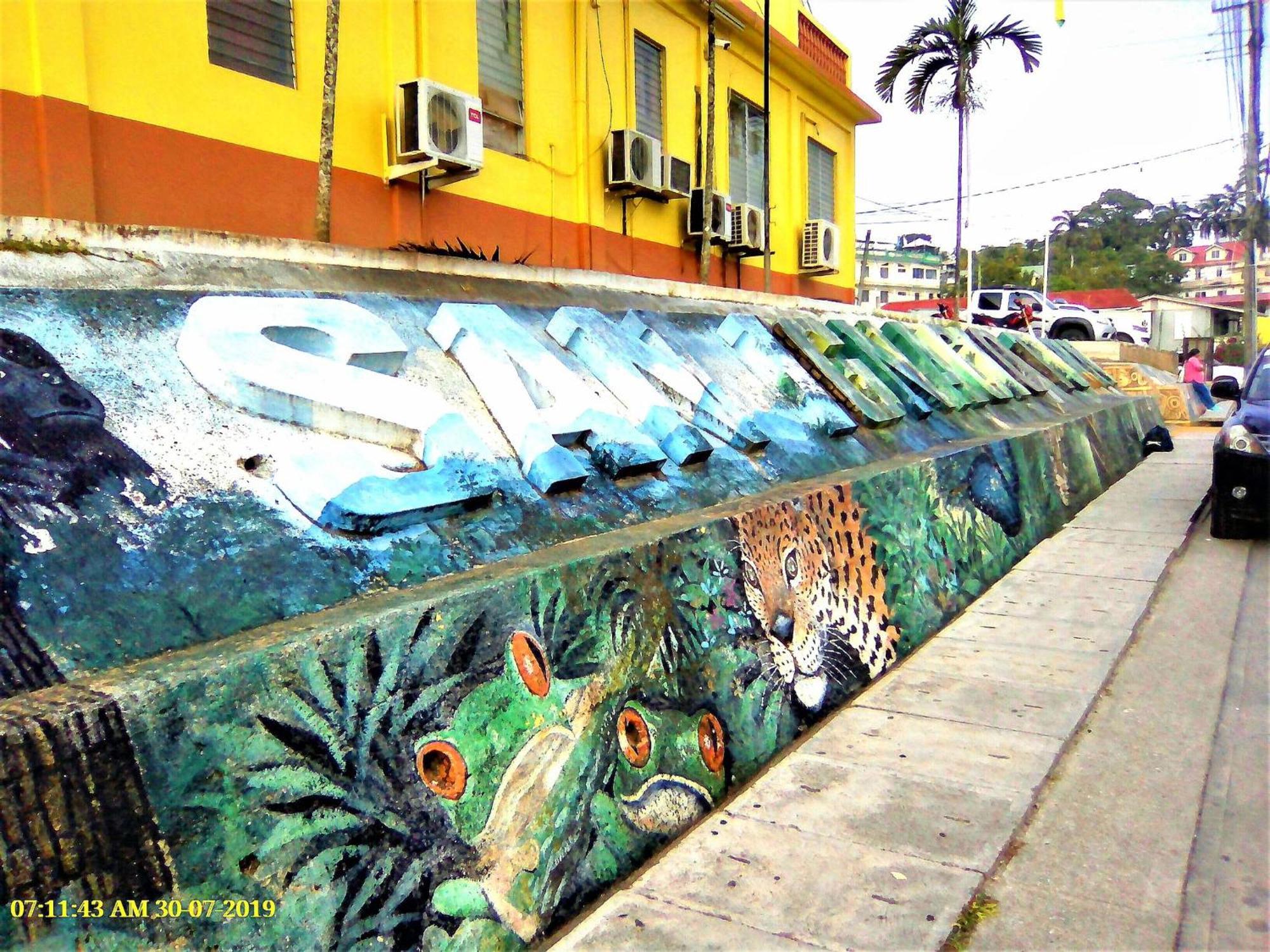 Iguana Roost Tourism Gold Standard Fully Equipped Two Bedroom Cabin San Ignacio Bagian luar foto